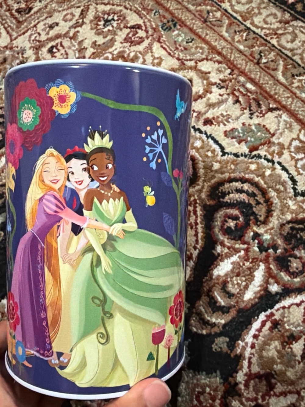 Disney princess saving money tin